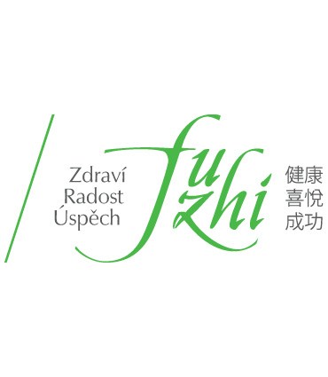 logo-FUZHI-2021_cz8